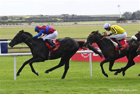2020 Irish Derby G1 .